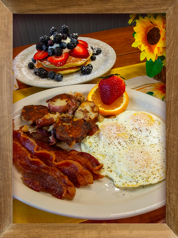 Big-Breakfast-Sunflower
