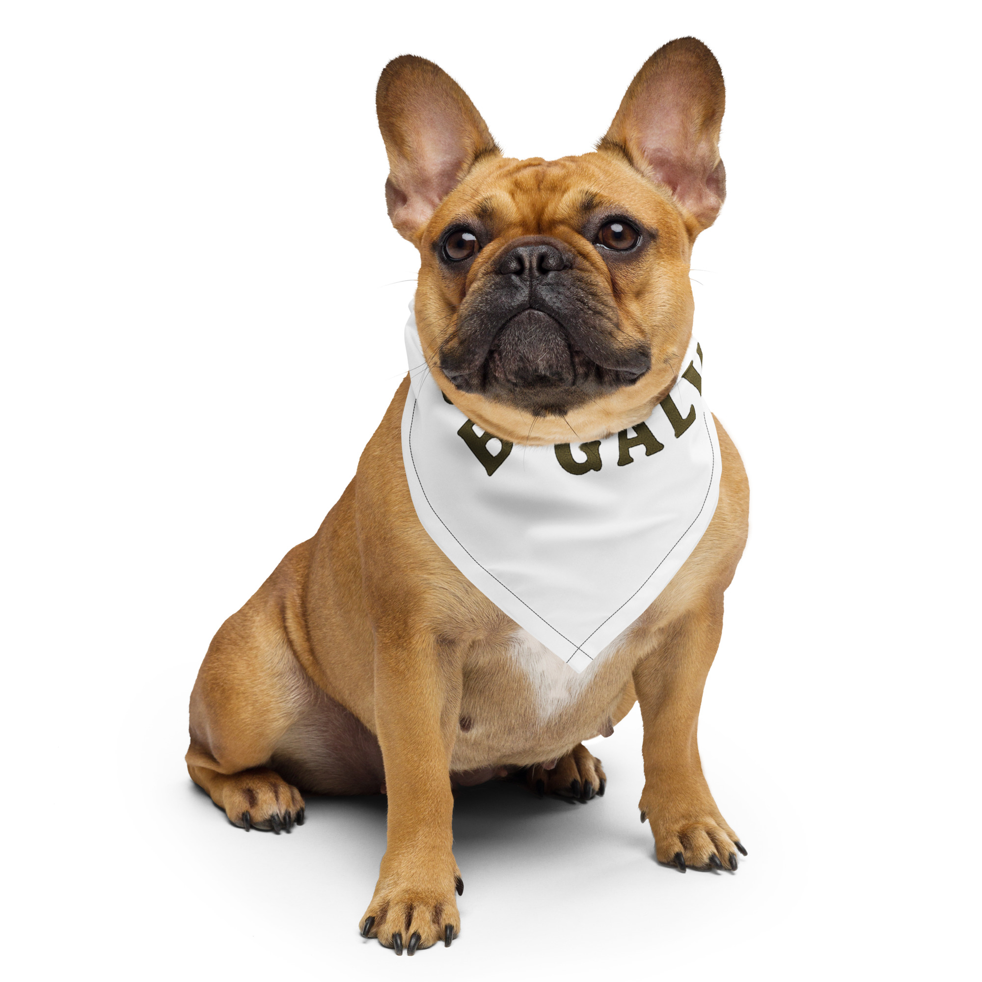 All-over print bandana - Image 4